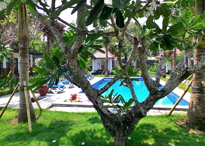 D'mell Bali