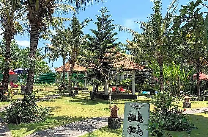 D'mell Bali