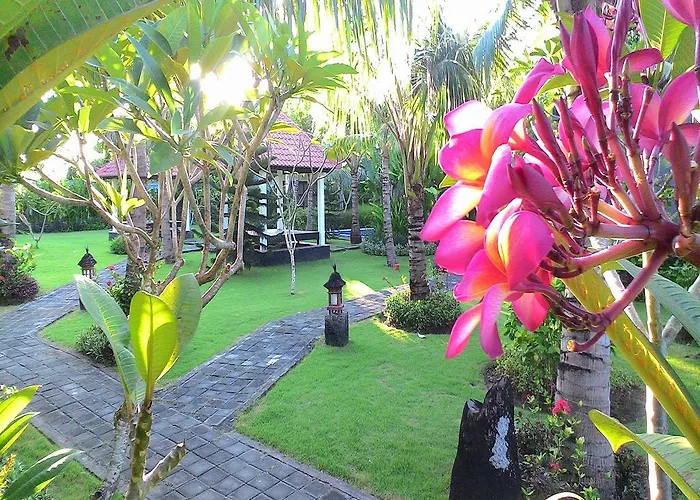 D'mell Bali